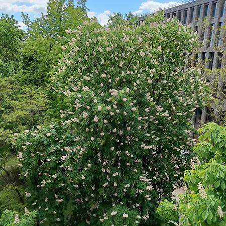 Cozy Appartement Vilnius