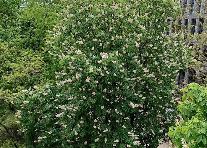 Cozy Апартаменти Вільнюс